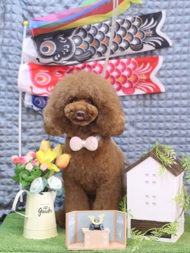 20230514ろこちゃん